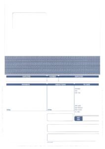 Pegasus Peel&Seal Payslip Mailer