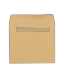 Pegasus Compatible Self-Seal Wage Envelope